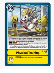 Physical Training